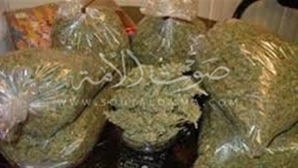 ضبط عاطل وبحوزته 12 كيلو بانجو بدمياط‎