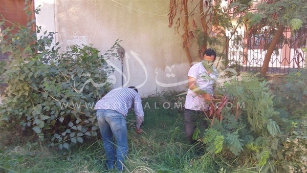 تقليم الأشجار بمحيط مؤسسات بورفؤاد (صور)