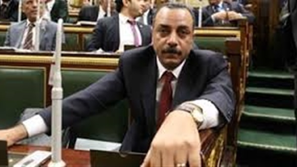 «الطماوى»: تدخل الاتحاد الأوروبى فى الشأن المصرى «مرفوض»