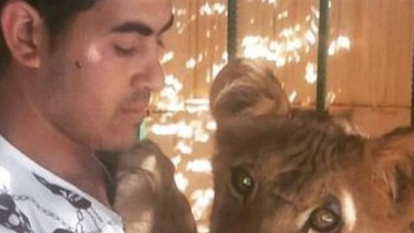 مصرع مدرب أسود هاجمه أسد و3 نمور في الإسكندرية