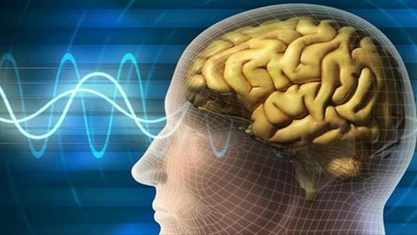 اكتشاف منطقة في الدماغ مسؤولة عن النوم العميق !