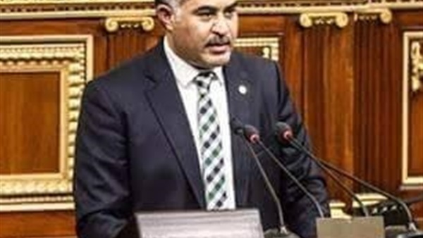 «وهدان» يخاطب «الزراعة» لتخصيص أرض مركز شباب «أولاد زيدان»