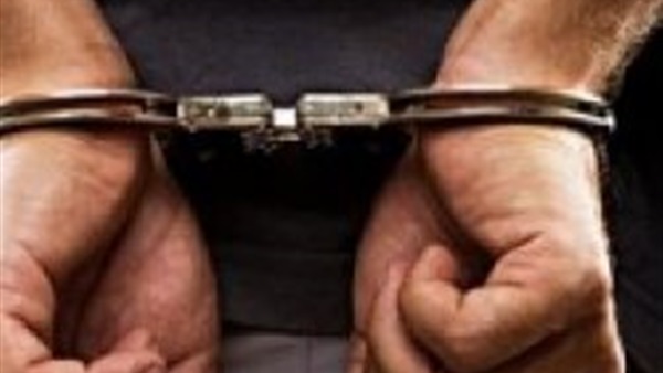 إحباط تهريب 5 كيلو «خيار بحر» بحيازة صيني في مطار القاهرة