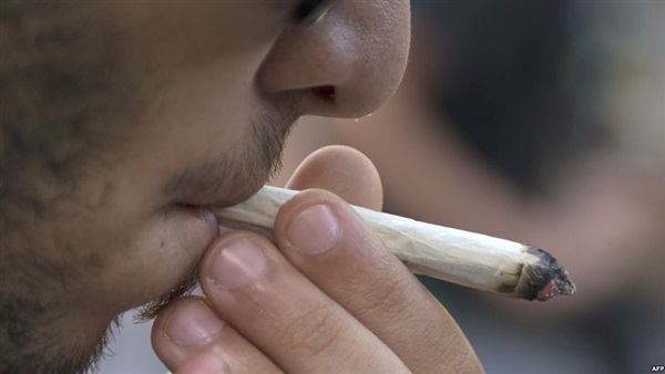 تعاطي «الحشيش» يزيد فرص الإصابة بالزهايمر