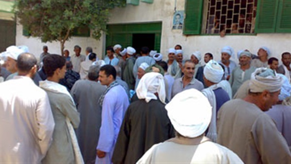 فلاحو سوهاج: «الحياة بقت صعبة والتقاوي نار»