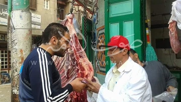 ضبط 3000 كيلو لحوم فاسدة في محال الجزارة بالدقهلية (صور)