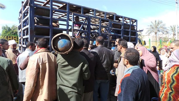 ضبط شخصين في المنوفية بتهمة «الاتجار اسطوانات الغاز» 