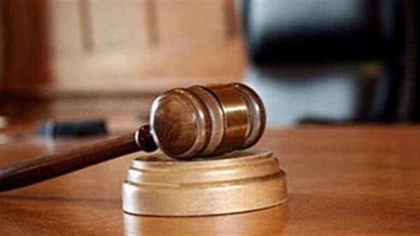 تأجيل دعوى وقف عرض مسلسل «هي ودافنشي» إلى 5 مارس 