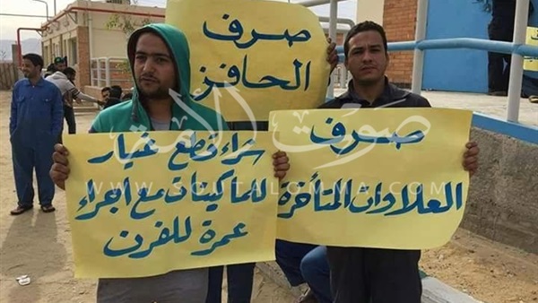 «عمال الزجاج الدوائي» يعتصمون بمقر الشركة في عتاقة (صور)