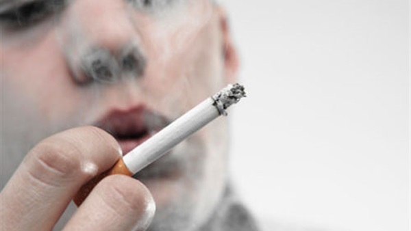«مخاطر التدخين».. ندوة بتعليم الإسكندرية
