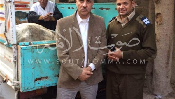 ضبط شخصين لذبح بقرة وبيع لحومها للأهالي بمنوف‎