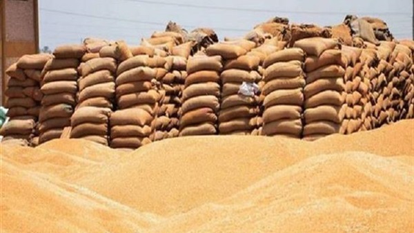 ضبط 5 أشخاص أثناء تهريبهم 15 طن قمح من شونة ببني سويف‎