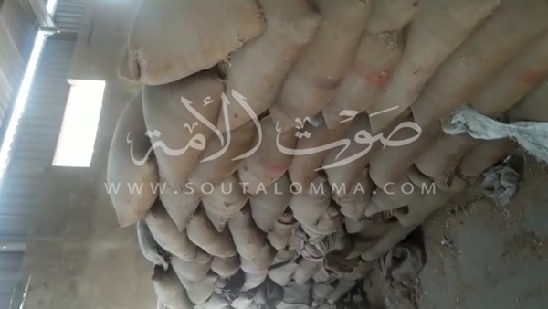 ضبط أمين شونة لبيعه 2087 طن قمح بالسوق السوداء في البحيرة‎