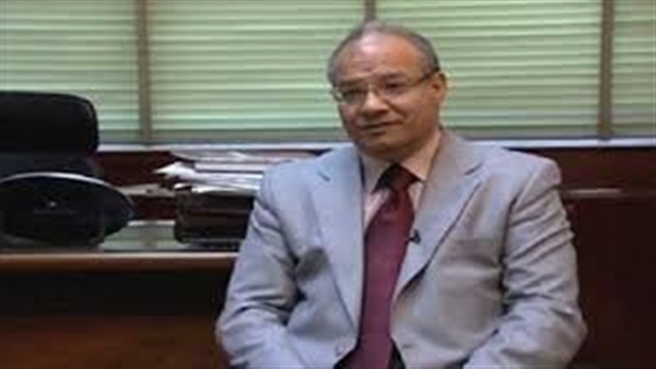 اللاوندي: الحالمين بتخريب مصر قصدهم الرئيس بـ«سيبونا في حالنا»