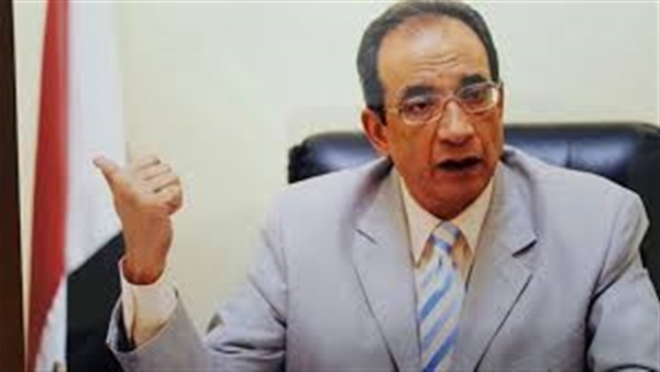عادل شكري: الإعلان عن الدفعة الثالثة للمحليات خلال أيام