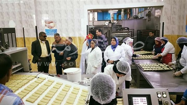 «الخضر» يؤكد سلامة الوجبة المدرسية في بورسعيد