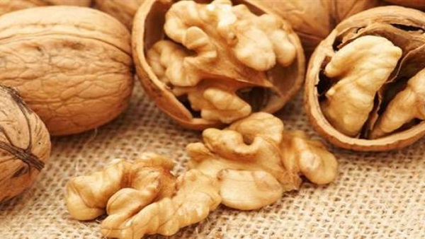 عين الجمل يحمي الأوعية الدموية للقلب ويخفض الكوليسترول السيء