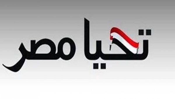 دعم صندوق تحيا مصر يصف تصريحات «البرادعي» بـ«الخسيسة‎»