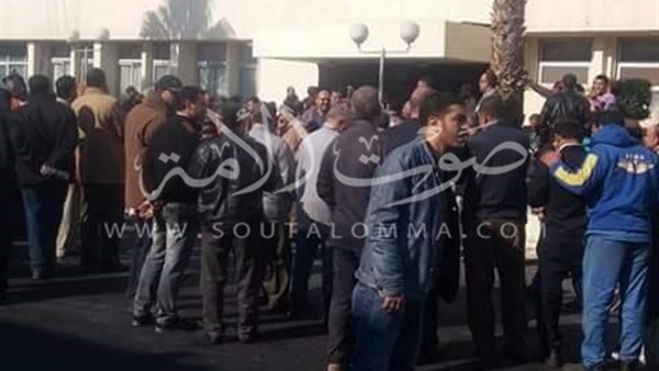 عمال الشركة الوطنية لـ«الذرة» بالشرقية يعتصمون للمطالبة بالأرباح 
