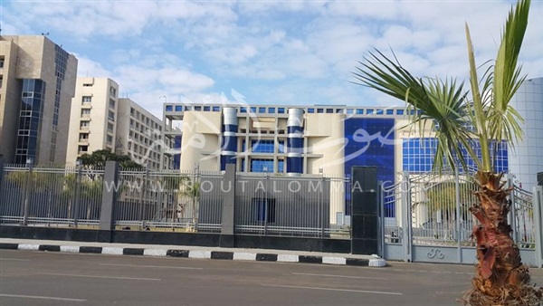 طقس شتوى معتدل نهارا ببورسعيد وبورفؤاد (صور)