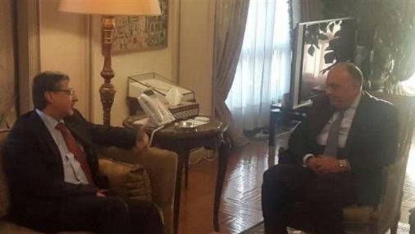 وزير الخارجية يستقبل مدير عام الوكالة الدولية للطاقة المتجددة