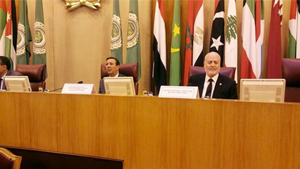 المنتدى الشبابي العربي الإفريقي ينعقد في مصر نهاية الأسبوع
