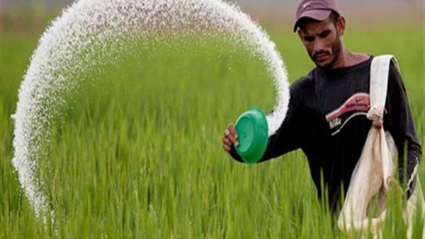 ننشر أسعار الأسمدة الزراعية في جمعيات البحيرة‎