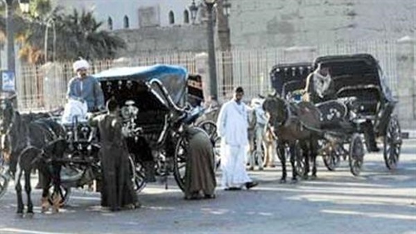 رئيس مدينة الأقصر يمنع مرور عربات الحنطور في هذه المناطق