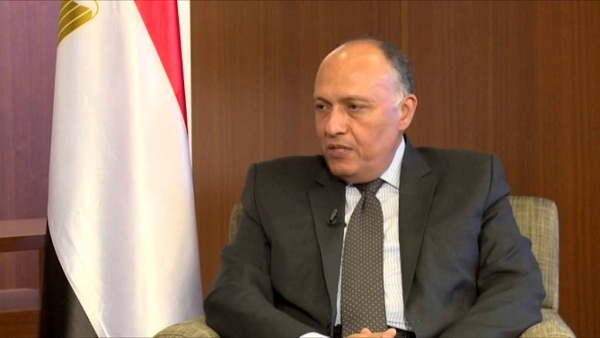 سامح شكري يستقبل وزراء خارجية مجموعة «الفيشجراد»