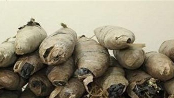 ضبط 25 عاطلا بحوزتهم 3 كيلو بانجو فى القليوبية‎