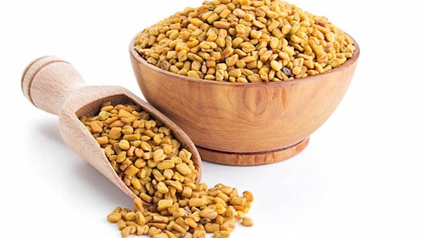 فوائد الحلبة في علاج الطمث والإسهال 