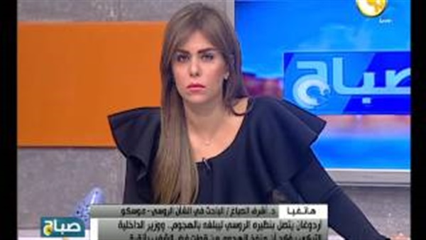 «الصباغ»: اغتيال السفير الروسي بأنقرة يستهدف ضرب العلاقات مع تركيا (فيديو)