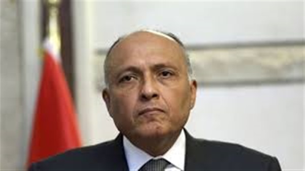شكري: موقف مصر واضح تجاه الأزمة السورية