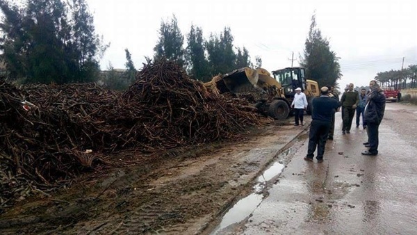 إزالة 85 حالة إشغالات بمدينة إدكو في البحيرة‎