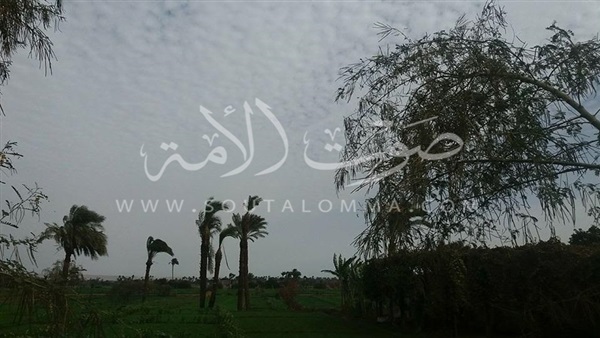 موجة صقيع حادة تضرب محافظة سوهاج 