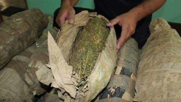 ضبط سيارة بداخلها نصف طن «بانجو» بمنطقة وادي فيران