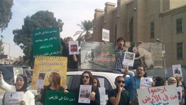 الأهلى يستعين بالشرطة لتأمين وقفة مذبحة القطط