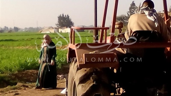 حملات نظافة مكبرة على شوارع كفر الشيخ (صور)‎ 