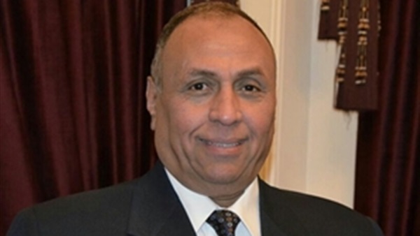 «إمبابي»: السيسي يفرض خريطة العالم العربي الموحد على المجتمع الدولي (حوار)