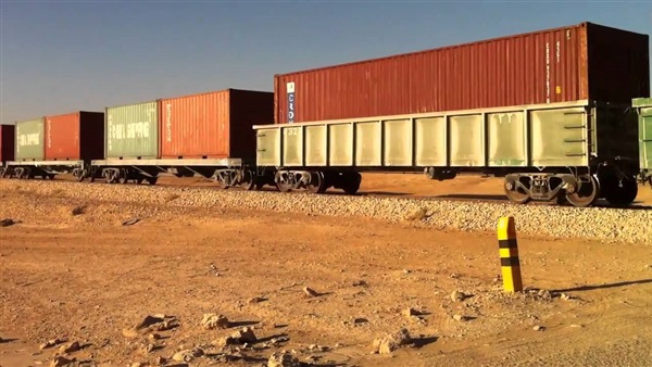 قطار بضائع يدهس عامل أثناء عبورة مزلقان «سندوب» بالدقهلية‎