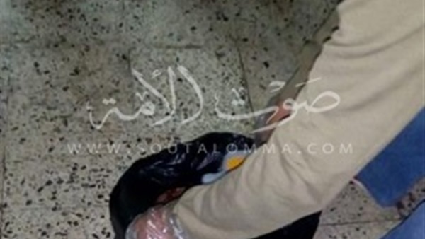 إعدام كمية من اللحوم الفاسدة بمطاعم شهيرة بالنزهة