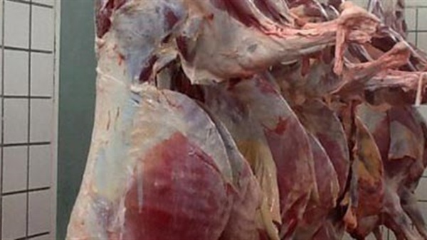 ضبط طالب بحوزته 600 كيلو لحوم «حمير» قبل توزيعها على مطاعم المريوطية