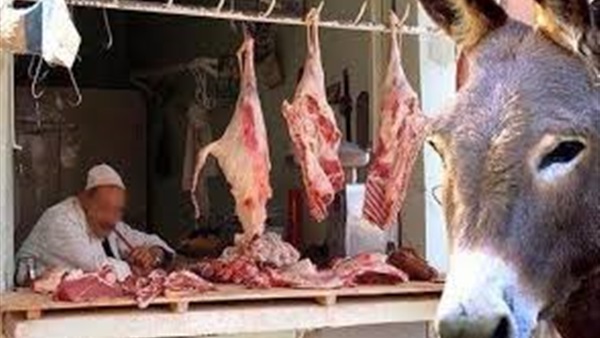 حبس «جزار الحمير» 4 أيام على ذمة التحقيقات