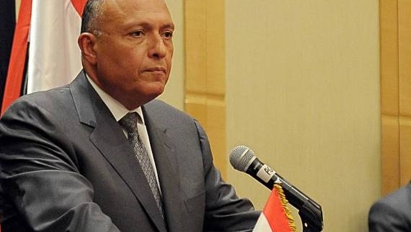 اليوم.. وزير الخارجية يستقبل رئيس تيار الغد السوري