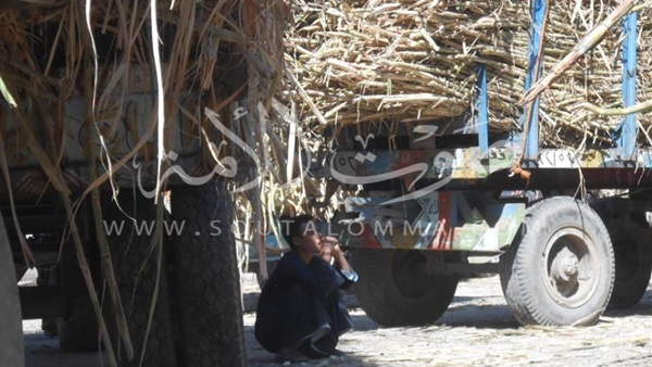 بالصور .. مبادرة بورسعيد نظيفة تواصل حملة تنظيف المقابر