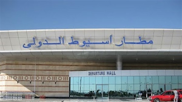 جمارك أسيوط تحبط محاولة تهريب غذاء ملكات نحل بـ 308 آلاف جنيه