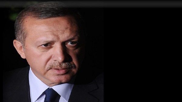 7 تصريحات تفضح المحاولات التركية للتدخل في الشأن المصري