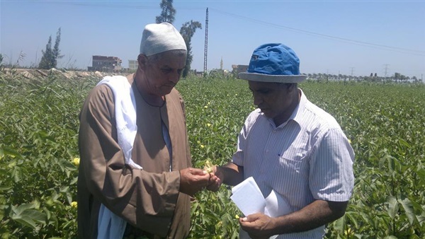 «الجندي» يتفقد أعمال تطوير الري الحقلي بترعة الحمام في البحيرة «الجندي» يتفقد أعمال تطوير الري الحقلي بترعة الحمام في البحيرة