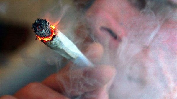 دراسة: تعاطي الحشيش يرفع نسبة هرمون الأنوثة عند الرجال