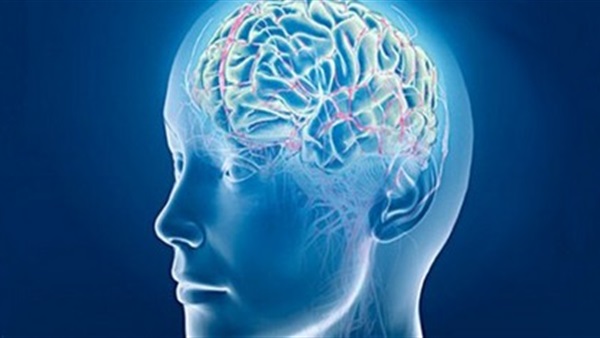 مستقبلات المخ يمكن أن تنظم حرق الدهون 